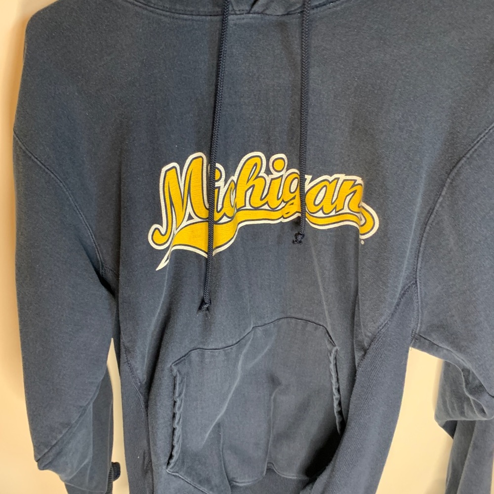 Vintage Michigan hoodie
